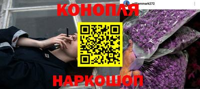 гидра Ангарск
