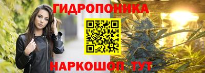PSILOCYBIN Анжеро-Судженск