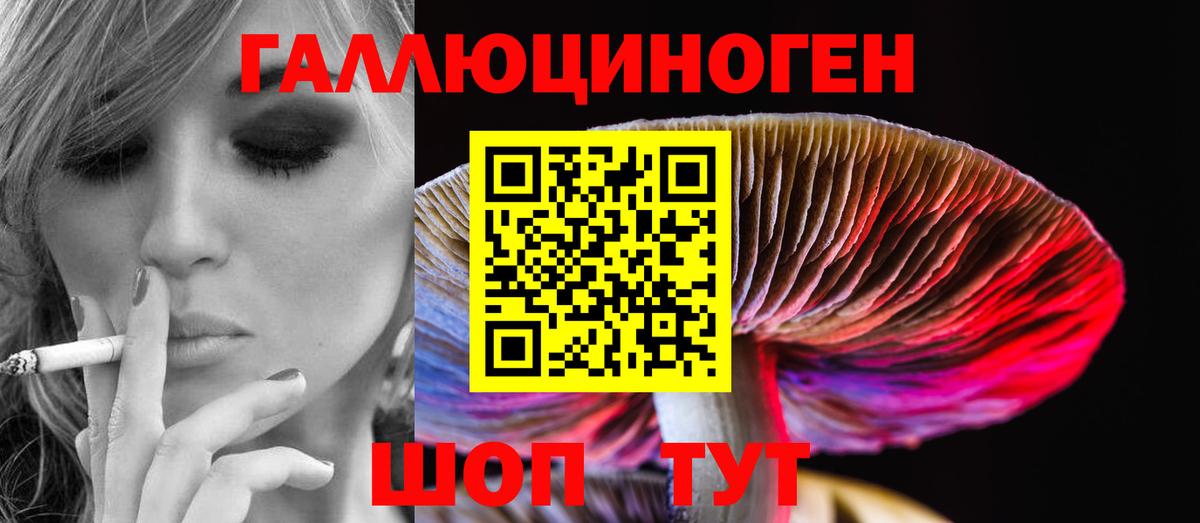 Галлюциногенные грибы Cubensis  где можно купить наркотик  Артём  Вход с VPN  Псилоцибиновые грибы ЛСД 